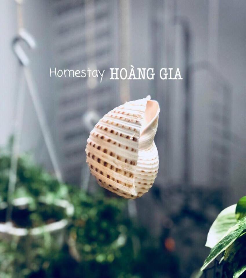 Homestay Hoang Gia Куинён Экстерьер фото